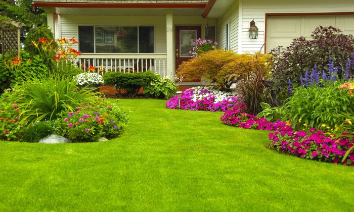 Landscape Design Services