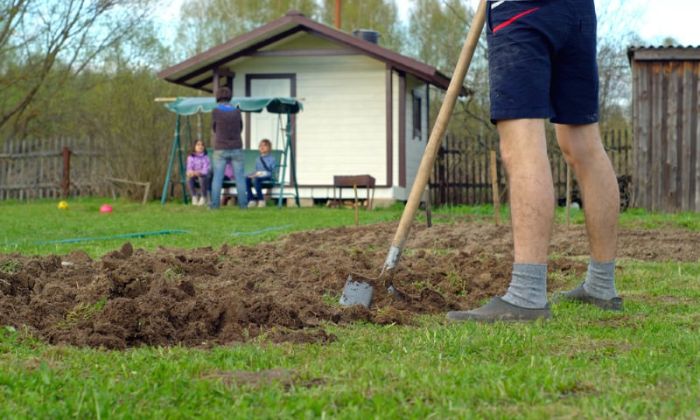 landscape grading