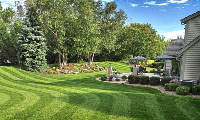 Best Landscape Maintenance Services for Your Lawn