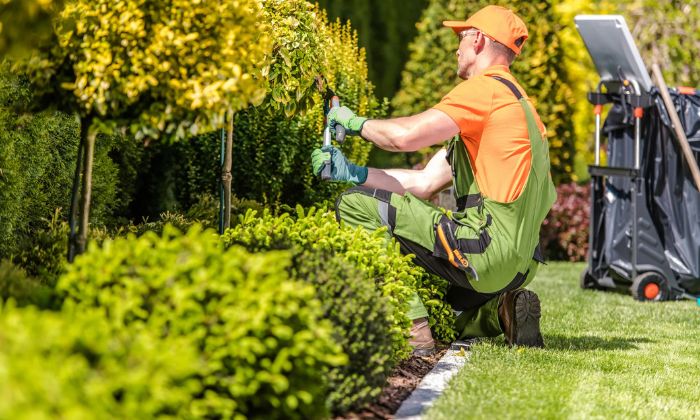 landscaping contractor