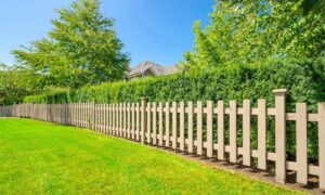 garden fences