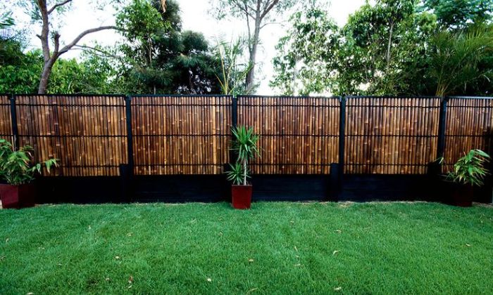 Bamboo Fences