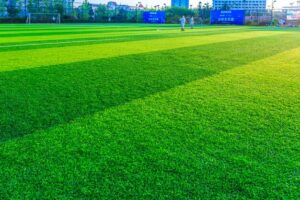 How Long Does Artificial Turf Last in the Bay Area