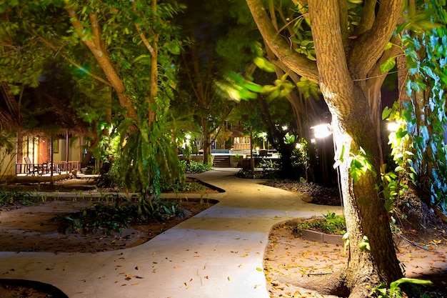 How to Use Landscape Lighting Along Your Driveway