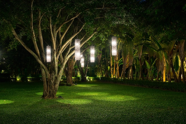 driveway landscape lights