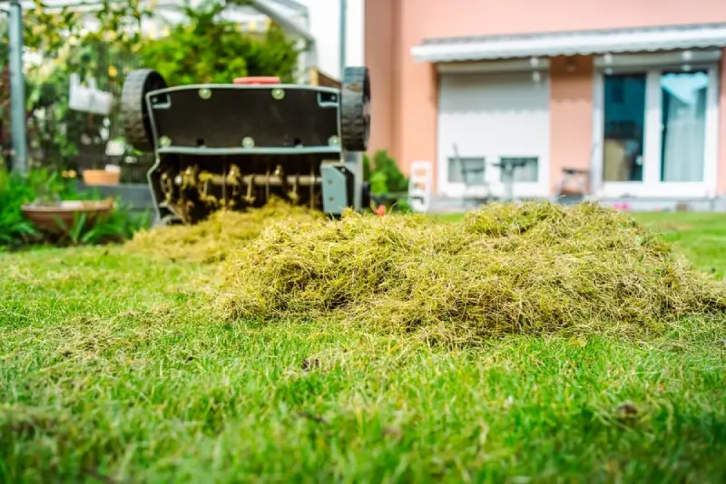 How to Get Rid of Moss on Your Lawn