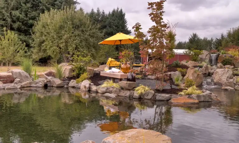 How to Landscape a Large Pond | Tips & Ideas for Success