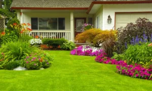 Do You Tip Landscapers? Everything You Need to Know