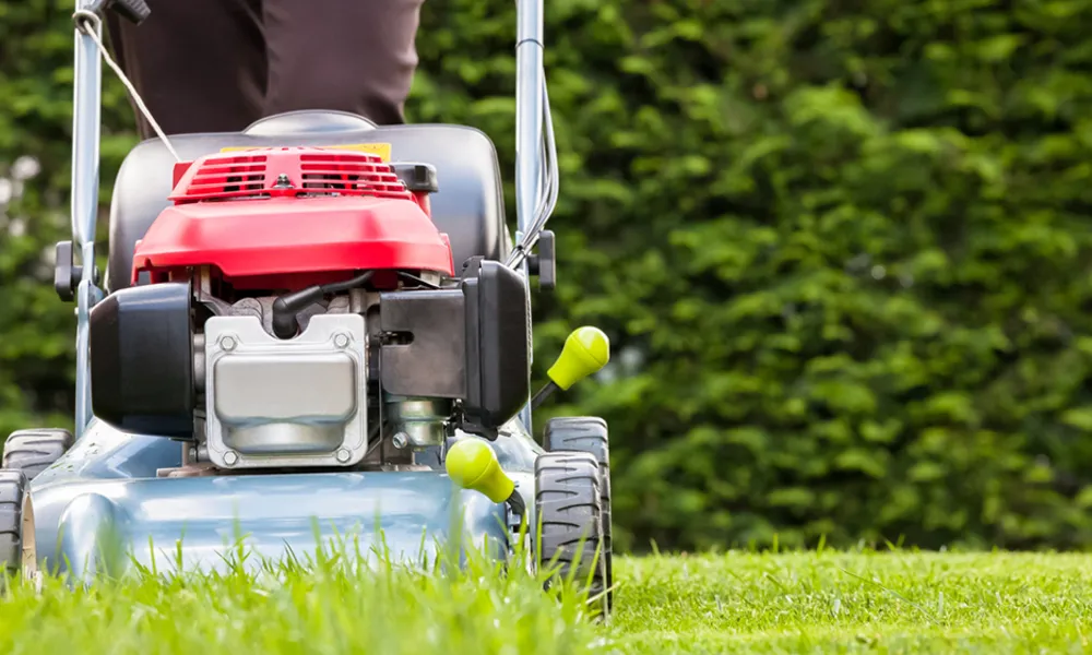 How Much Lawn Care Cost in 2025 | Pricing Guide
