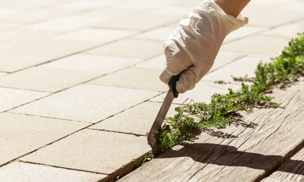 How to Get Rid of Weeds Between Pavers | Easy Steps