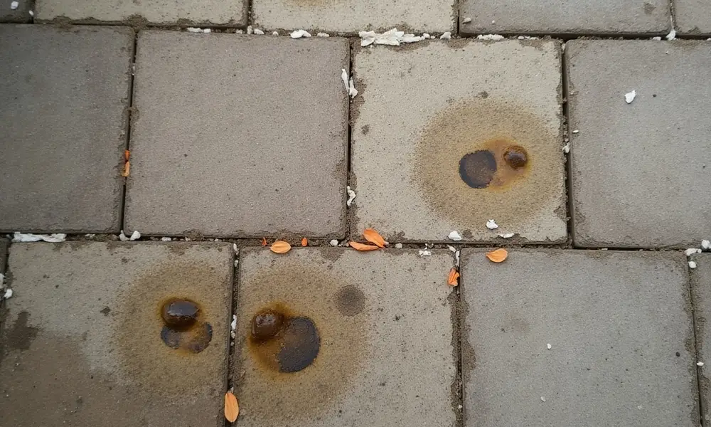 How to Remove Oil Stains from Pavers In 6 Easy Steps