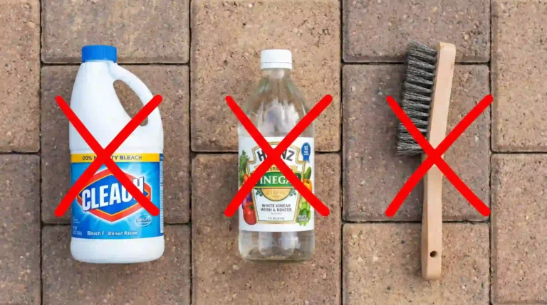 Three items to never use on pavers bleach, white vinegar, and a wire brush — each crossed out with a red X on a brick paver surface to warn against paver surface damage.
