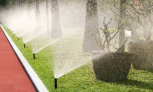How to Install Lawn Irrigation System Step-by-Step