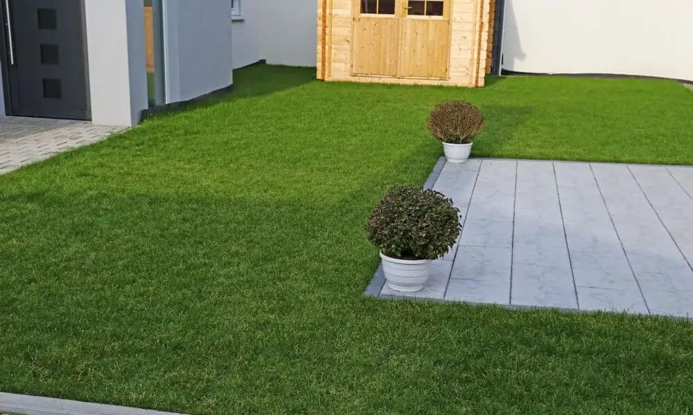 How Much Does Turf Lawn Cost? Get Price Breakdown