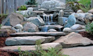 How to Clean Landscape Rocks | Easy DIY Guide