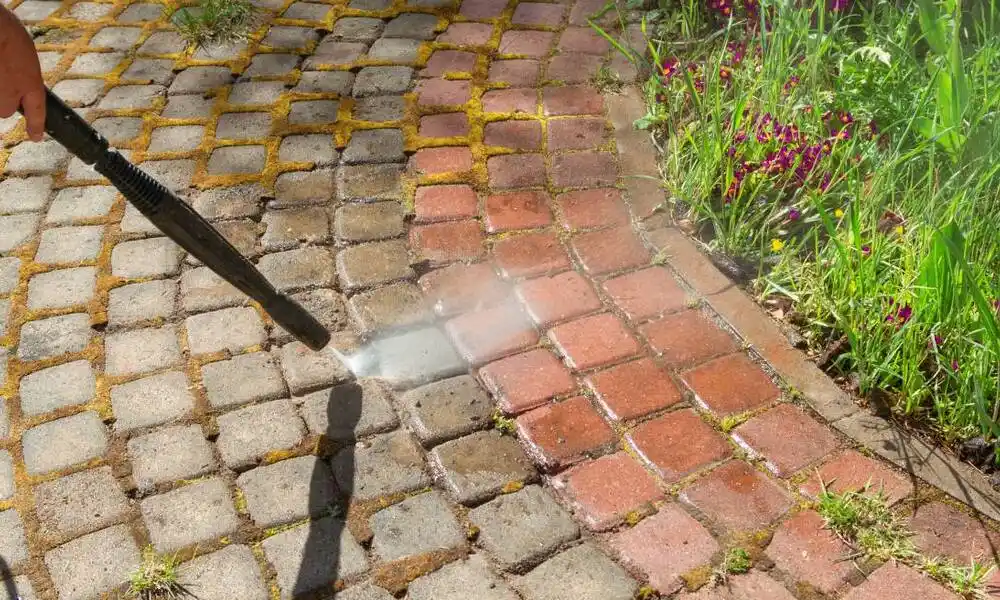How to Clean Landscape Rocks | Easy DIY Guide