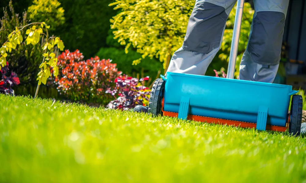 How Often Should I Fertilize My Lawn? Lawn Care Guide