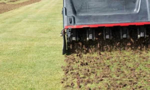 How Often Should You Aerate Your Lawn | Seasonal Lawn Tips