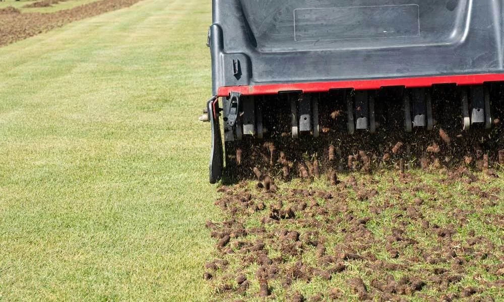 How Often Should You Aerate Your Lawn | Seasonal Lawn Tips