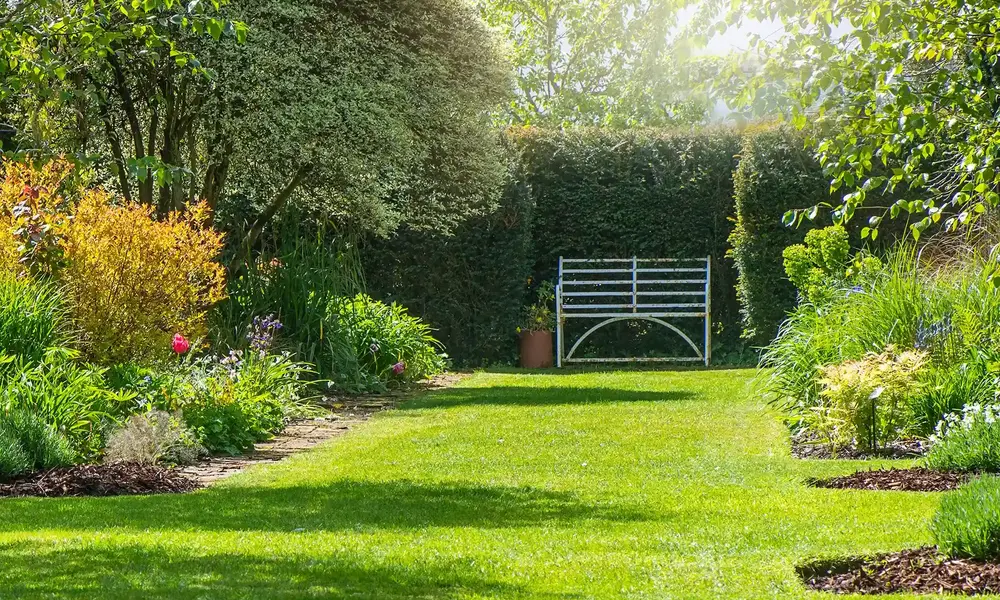 Landscapers in Milpitas | Call Now for Expert Design