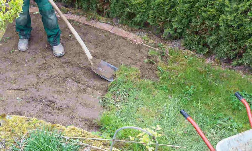 How to Remove Turf | Step-by-Step Guide