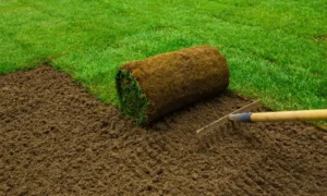 How to Remove Turf | Step-by-Step Guide