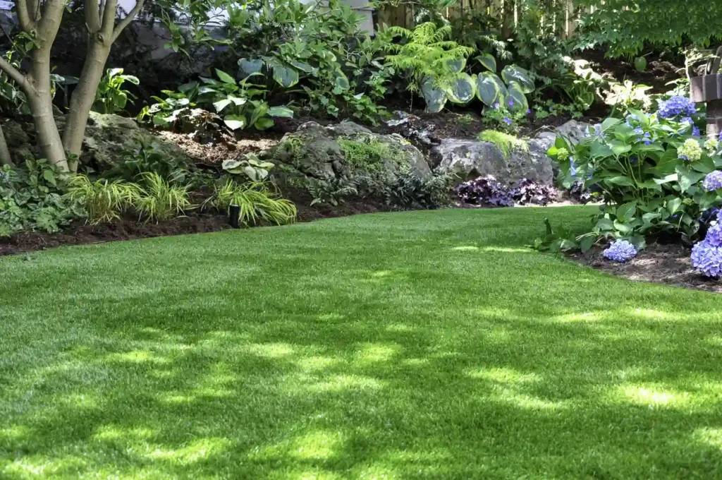 Landscapers in Cupertino CA | Local Landscaping Experts