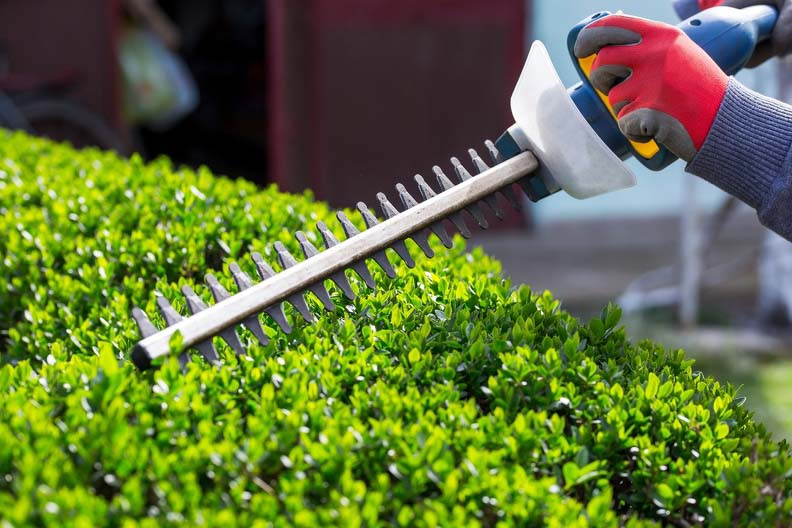 Landscapers in Los Gatos | Expert Design & Installation