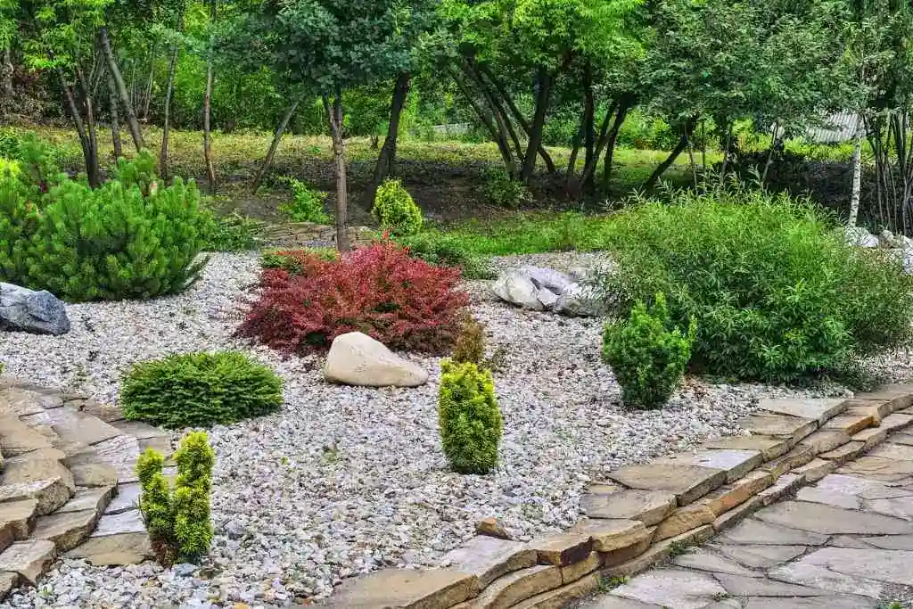 Landscapers in Cupertino CA | Local Landscaping Experts