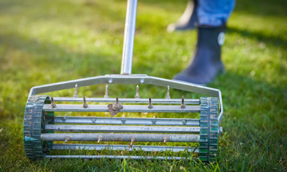 How Much Should Lawn Aeration Cost? | Pricing Guide