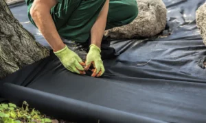How to Use Landscape Fabric Step by Step Guide