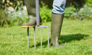 How Much Should Lawn Aeration Cost? | Pricing Guide