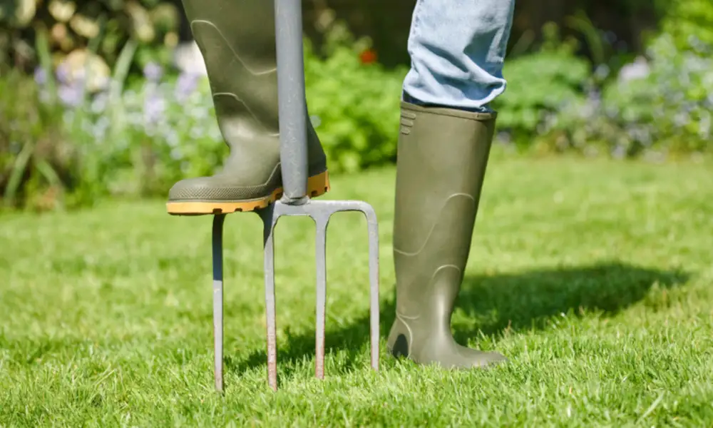 How Much Should Lawn Aeration Cost? | Pricing Guide