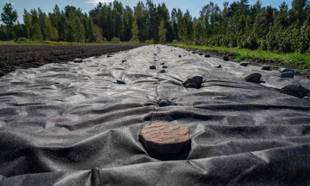 How to Use Landscape Fabric Step by Step Guide