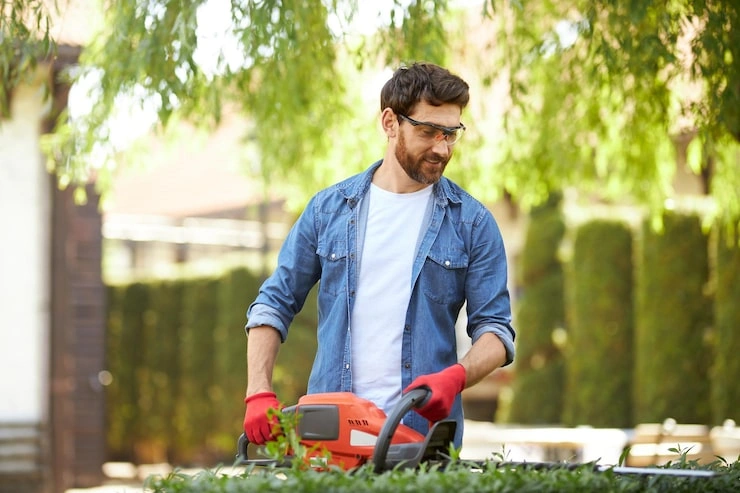 Average Lawn Care Cost for Professional Care