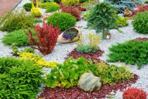 What Type of Plants Are Involved in Landscaping? Guide