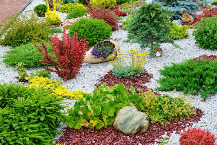 What Type of Plants Are Involved in Landscaping? Guide
