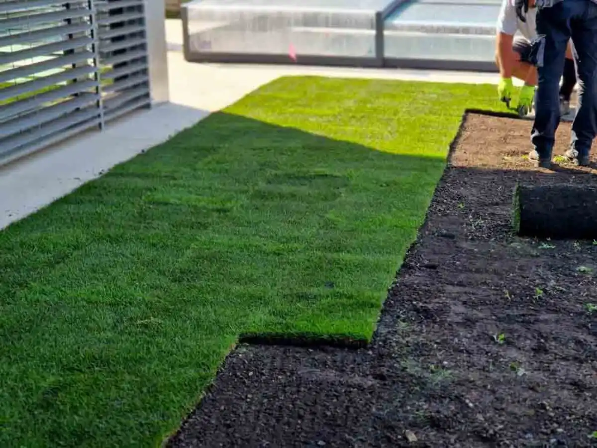 Artificial Turf San Jose | Create Your Dream Lawn Today
