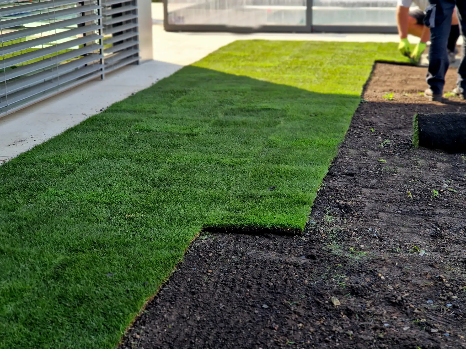 Fresh sod is being laid on a yard next to a building, with green grass covering part of the area and exposed soil nearby. A person stands in the background, working with the turf.