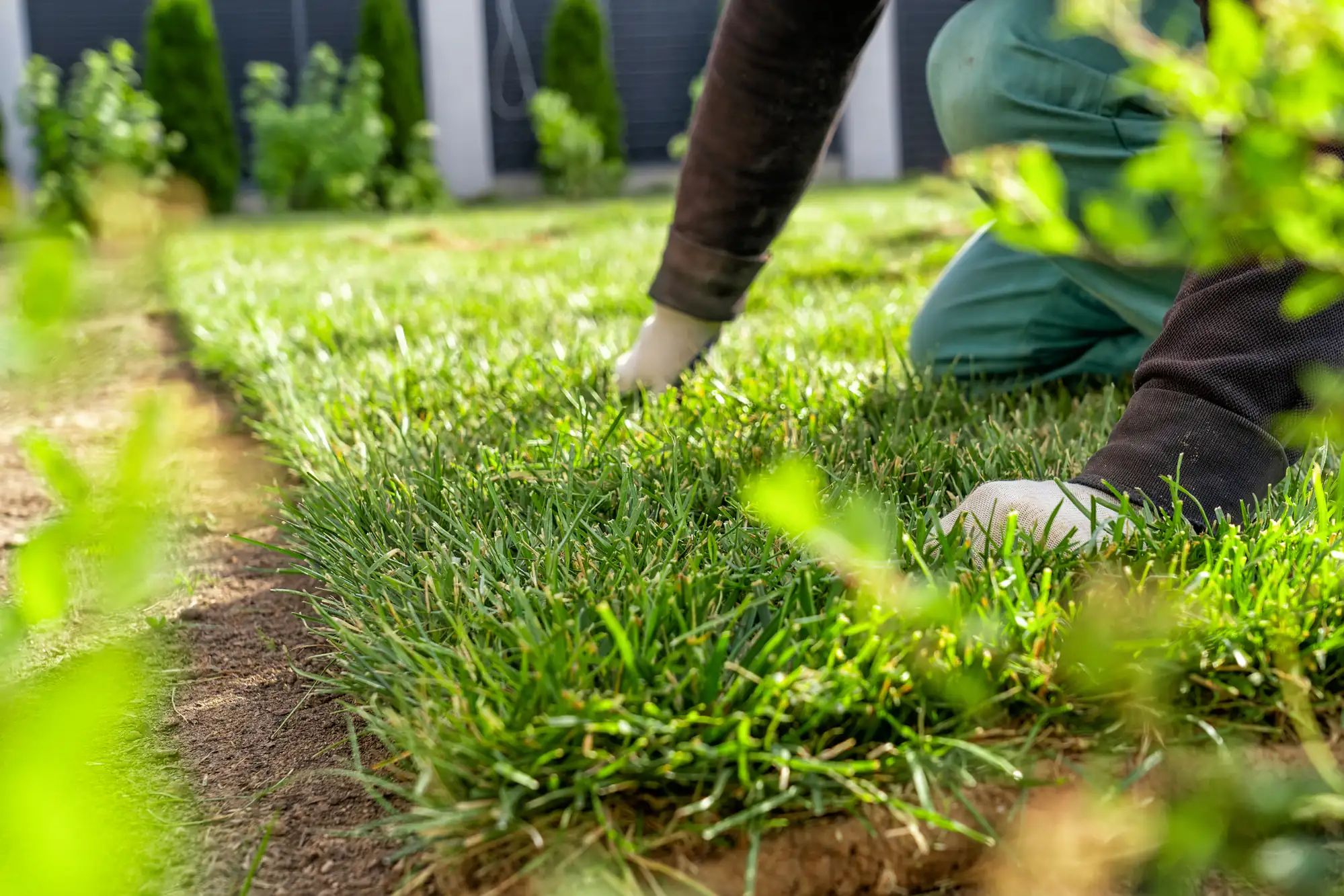 Person kneeling on green grass, wearing gloves, and tending to the lawn in a garden. The focus is on their hands working close to the edge of the grass. Bushes and a building appear blurred in the background.