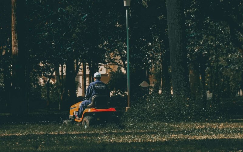 Trusted Landscapers in Saratoga, CA | Local Experts